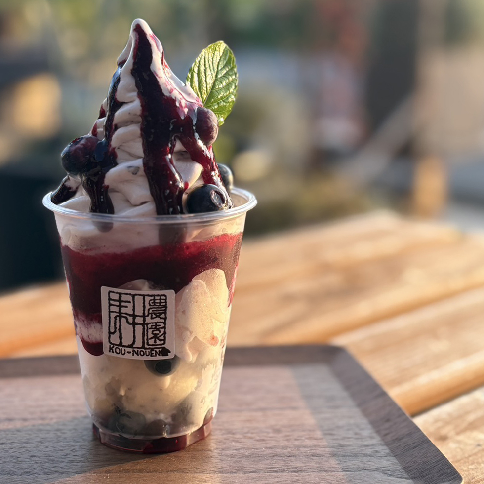 ブルーベリーのアイスクリーム(夏季限定)