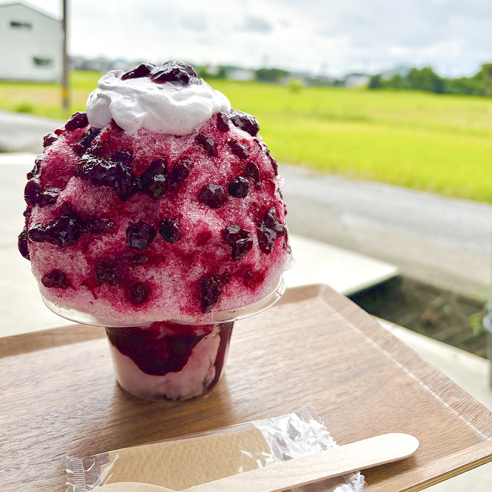 ブルーベリーのかき氷